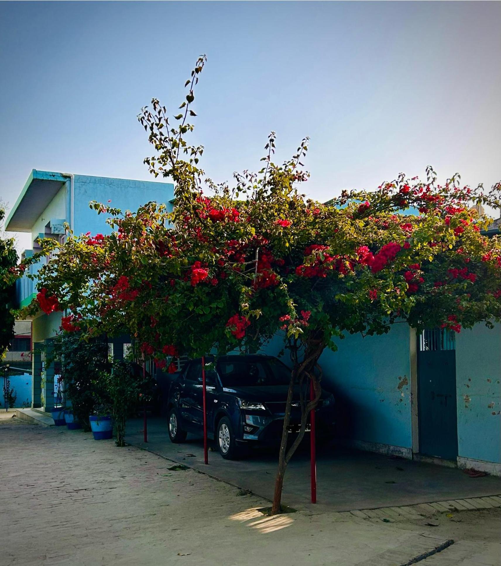 Gooseberry Garden Villa Ayodhya Exteriör bild