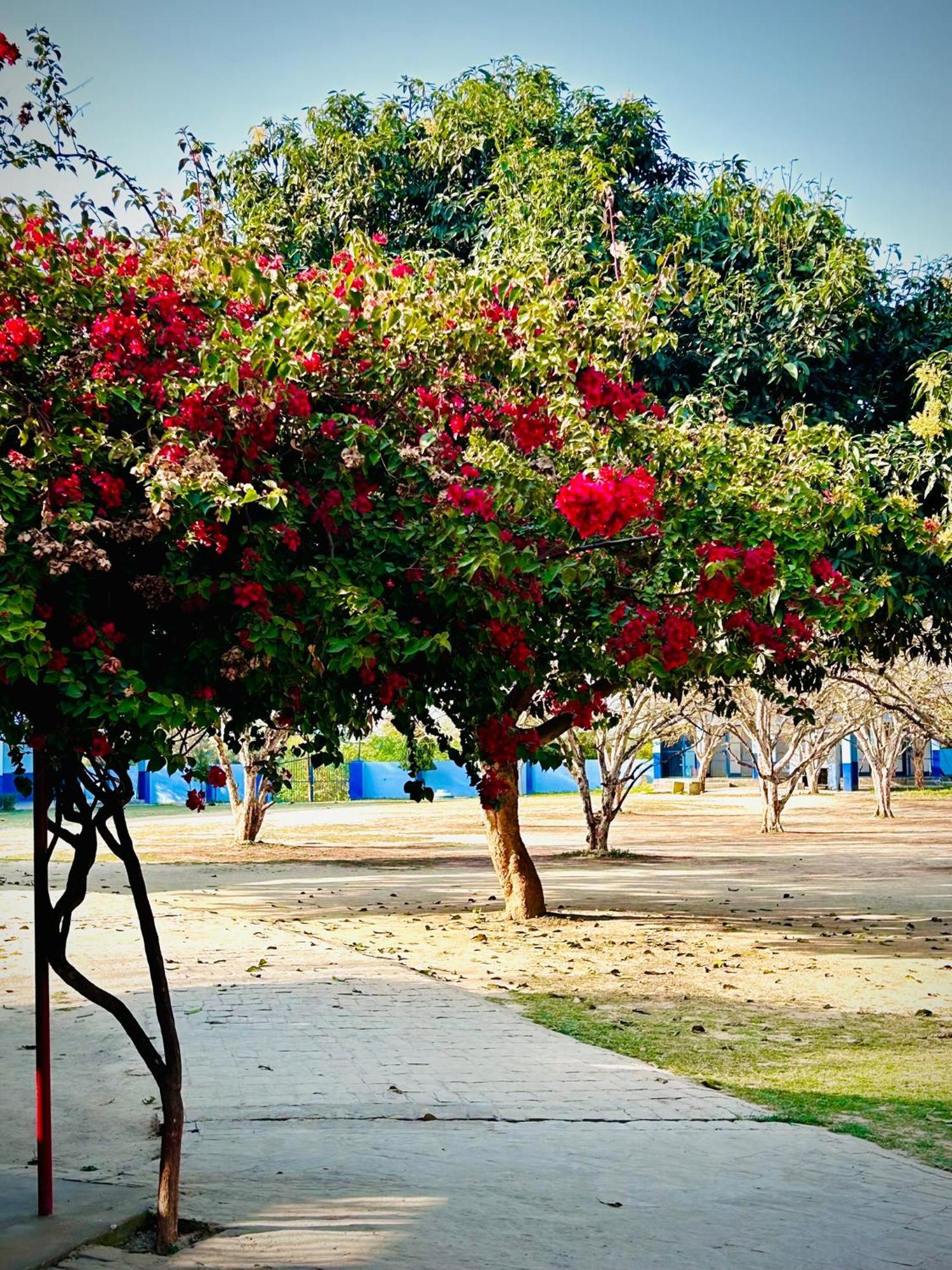 Gooseberry Garden Villa Ayodhya Exteriör bild