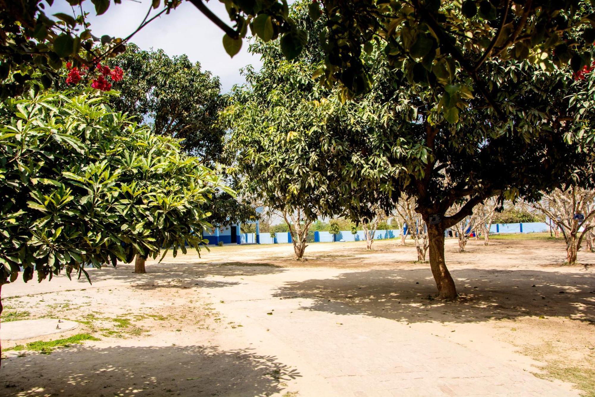 Gooseberry Garden Villa Ayodhya Exteriör bild